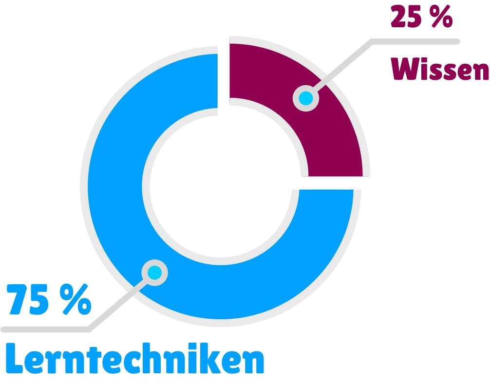 Vorteile E-Book Prüfungsphase